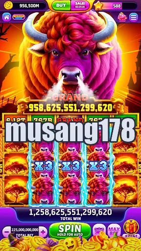 musang178 Masuk